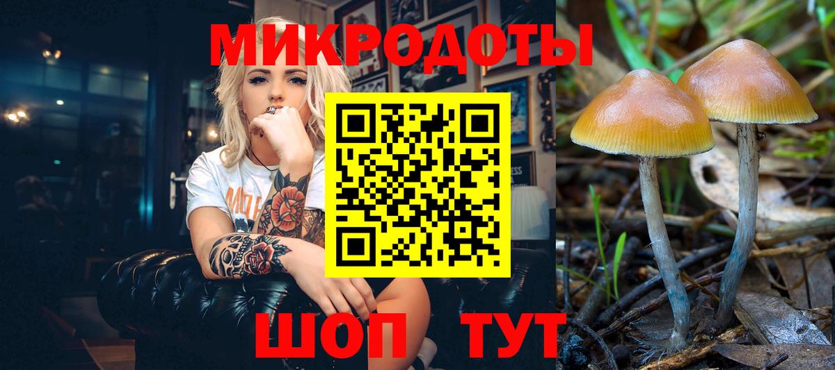 Кириши  Псилоцибиновые грибы GOLDEN TEACHER  Псилоцибиновые грибы GOLDEN TEACHER  Вход с VPN 