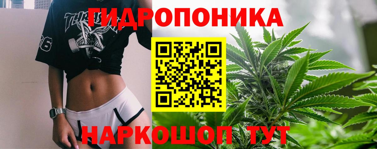 Марихуана SATIVA & INDICA Кириши
